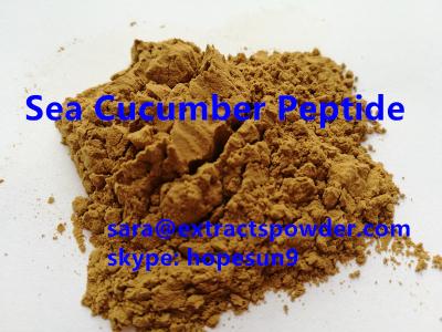 China sea cucumber powder/peptide/protein for energy capsules, tablets or formula for sale