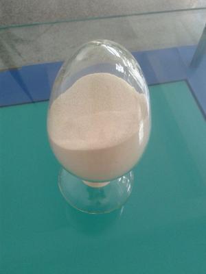 China pea peptide, pea protein peptide powder, pisum sativum extract for sale