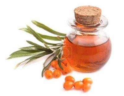 China seabuckthorn oil, seabucktorn seed oil, seabuckthorn fruit oil, seabuckthorn concentrate for sale