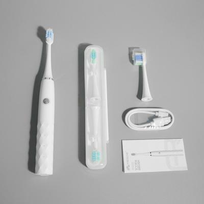 China Leistungsfähige IPX7 wasserdichte Zahnbürste Sonic Rechargeable Electric Toothbrush zu verkaufen