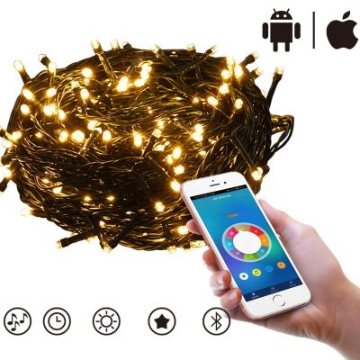 China 2021 New LED String Light DSL-BT Series Bluetooth APP Mobile Phone Control String Light with Music Light Radio for Christmas Outdoor Decor for sale