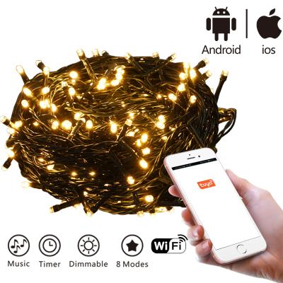 China String Light With 8 Functions New Design 2020 Series TUYA APP DSL-TUYA APP Control Christmas Wireless Outdoor Christmas String Light With Music for sale