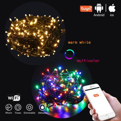 China App String Light Warm White Multi Color Changing Tuya Wifi App Control Wireless Outdoor Christmas String Light With Music for sale