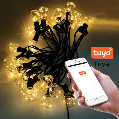 China String Light 2020 New Design E12 Bulb RGB 64 Functions Tuya Wifi App Control Christmas String Light for sale