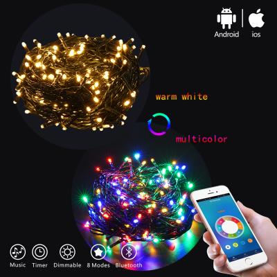 China APP String DSL-BT Series APP Control Light String Light with Music Radio Outdoor for sale