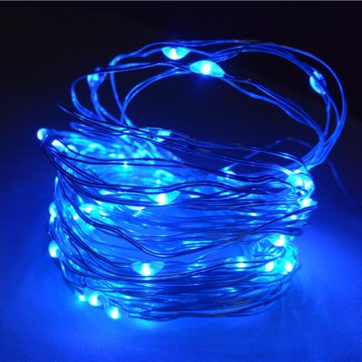 China Christmas LED Light Warm Outdoor Micro Light Copper Wire String Fairy String Light for sale