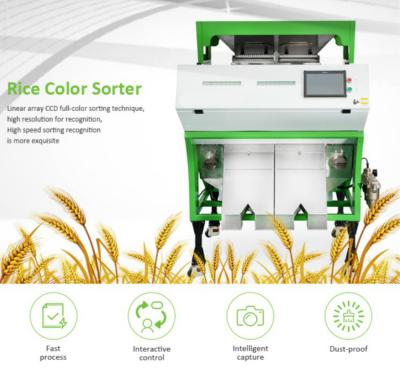 China CCD Camera Rice Color Sorter Machine Optical Rice Color Sorting Machine for sale