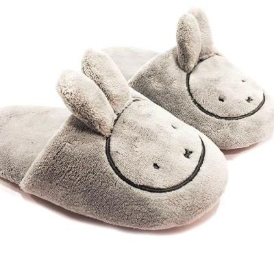 China Slipper 2021 Women's Winter Indoor Slippers Plush Light Weight Soft Men's Ladies Home Designer Slippers for sale