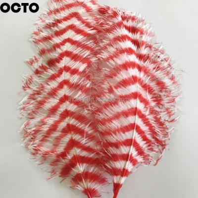 China Barred Red White Ostrich Plume Feathers 60-65cm 24-26in Carnival Ostrich Feather Big Natural Premium Headpiece Costume for sale