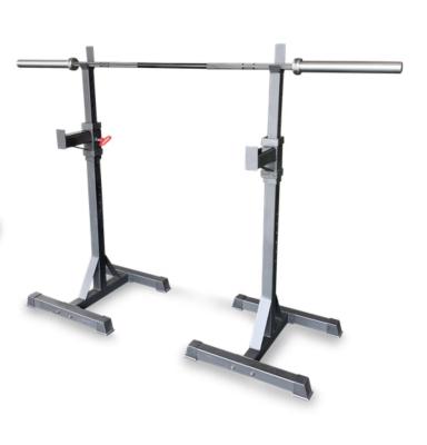 China 16 Level Stand Chin Dip Station /Weight Adjustable Squat Lift Rack for sale