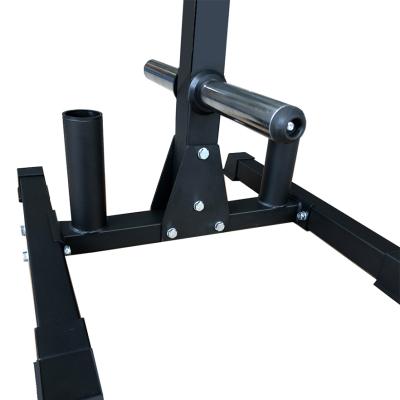 China Storage Plate Rack Gym Equipment Weight Plate Bumper Tree for sale