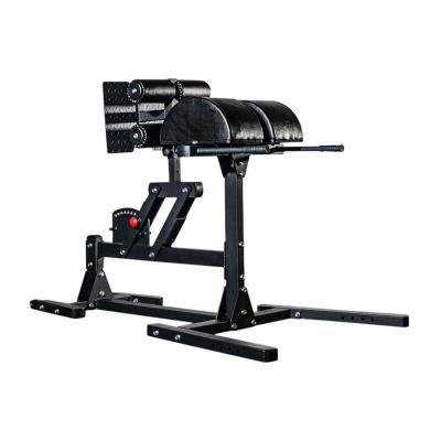 China Commercial Use VITAL Back Hyperextension GHD Roman Chair Glute Ham Developer for sale