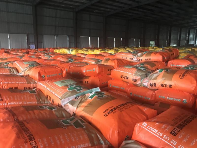 Fournisseur chinois vérifié - Singao (Xiamen) Agribusiness Development Co., Ltd.