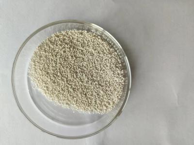 Chine Slow Release  Coated Calcium Butyrate 75% CAS 5743-36-2 plus sodium butyrate 5% for poultry à vendre