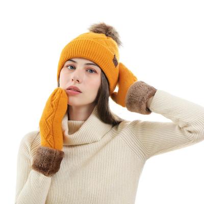 China Women Knitted Wholesale Warm Set Of 2021 Mid Fashion Hat And Scarf for sale