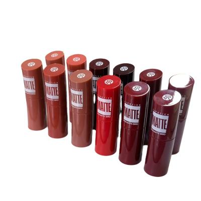 China Moisturizing Matte Luxury Lipstick Beauty Makeup Products Private Label Seller Wholesale Red Blush a Levre Set for sale