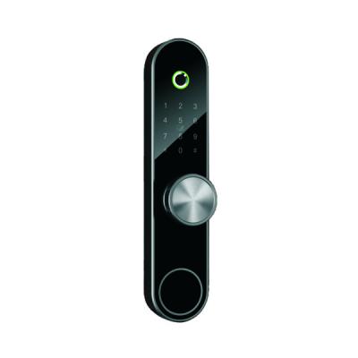 China FOSHAN FACTORY TUYA Wifi Fingerprint Security WiFi Keyless Smart Door Locks for sale