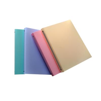 China 2021 Hot Sale PP Folder 2 Holes Ring Binder Office School Stationery With Metal Ring Clip for sale