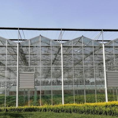 China Farming Venlo Aluminum Frame Glass Greenhouse For Agriculture Growing for sale