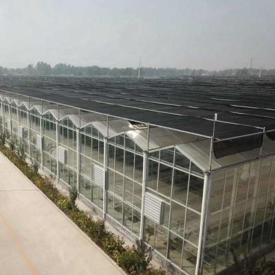 China Farm Agriculture Greenhouse Equipments Multi Span Glass Inner Outer Shading System for sale