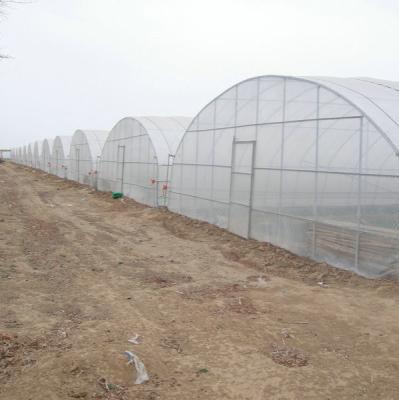 Chine 9x30m Tunnel en plastique Serre recouverte de film plastique pour la culture des légumes à vendre