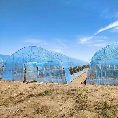 China High Quality Clear UV Resistant Greenhouse Film Plastic Agriculture For Strawberry Flower Hydroponic for sale