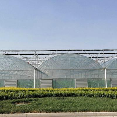 China 10000m2 Big Span Agriculture Multi Span Greenhouse Plastic Film Green House For Hydroponic Growing for sale