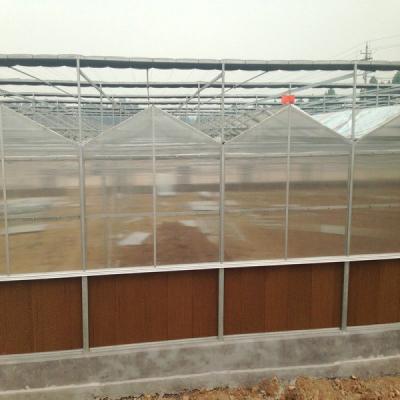 China 9.6m Span Venlo Pc Sheet Greenhouse Galvanized Steel Framework Green House Used For Agricuture for sale