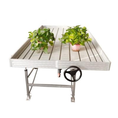 China 4x8feet Movable Ebb And Flood Rolling Bench Table Abs Tray In Greenhouse for sale