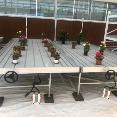 China Agriculture Ebb And Flow tables Hydroponic  seedling Grow Rolling Bench seedbed with abs tray for sale