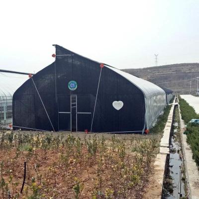 China 10m double framework mushroom greenhouse with black shade net and shelves outdoor for sale