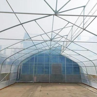 China Indoor Hydroponic Tropical Area Polytunnel  Sawtootch Greenhouse With Cooling Irrigation System for sale