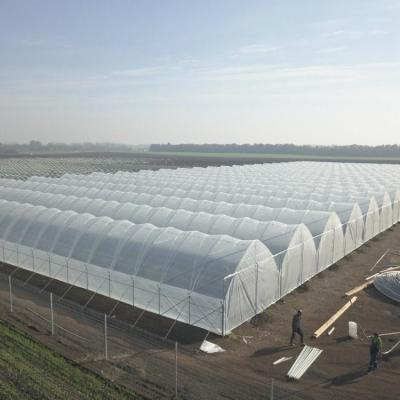 China Uv Resistant Polyethylene Berry Hoop Film Greenhouse With Door Keep Warm Growing Strawberry Blueberry for sale