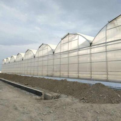 Chine Serre en polycarbonate galvanisé creux de 3 mm 4 mm 16 mm 10 mm avec système de culture au Turkménistan à vendre