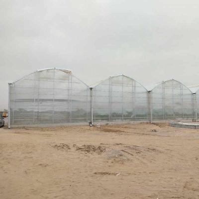 Chine Prix de serre des grandes feuilles de polycarbonate agricole en provenance de Chine à vendre