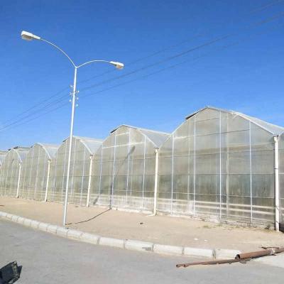 China 10x12 6x4 4x2 Pc Sheet Large Polycarbonate Greenhouse Growing Tomaotes Cucumber Growing System for sale