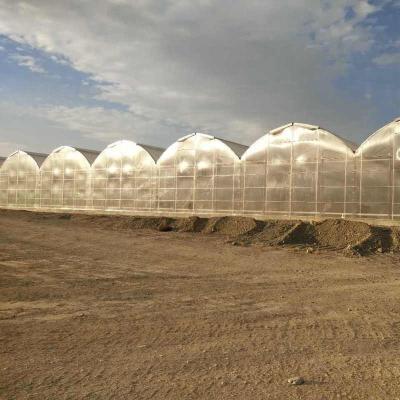 China Invernadero de policarbonato con marco de acero para vegetales en venta