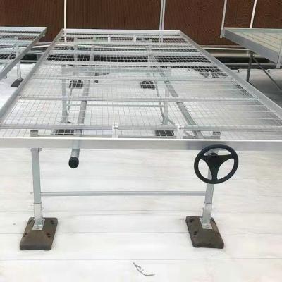 China Diy Commercial Greenhouse Rolling Benches Galvanized Steel Mesh For Orchid Nursery Flowers Irrigation for sale