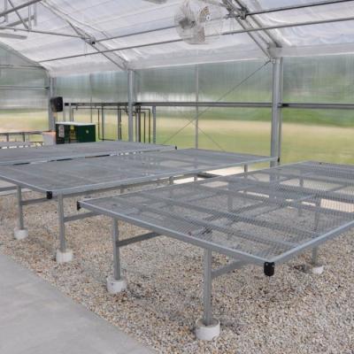 China Galvanized Expanded Metal Plant Bench Table Greenhouse For Flower Vegetable Stand for sale