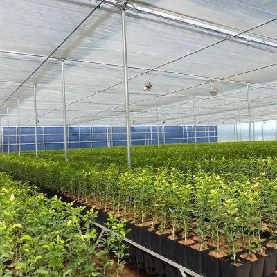 China 9m 10m Multi Span Plastic Film Greenhouse For Sale With Inner Shading System Outer Shading System for sale