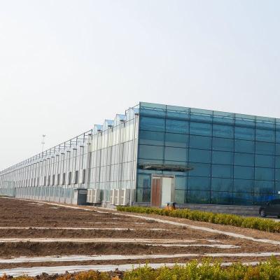 China 10x10 10x12 10x6 Aluminum Venlo Glass Greenhouse Grow Rose With Cooling System Ventilation System for sale