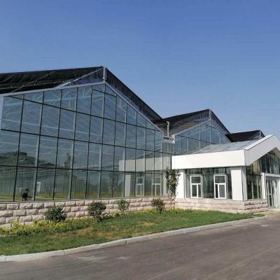 China 10x8 20 X 40 Big Span Venlo Multi Span Glass Greenhouse Growing Vegetable Show For Exhibition Hall for sale