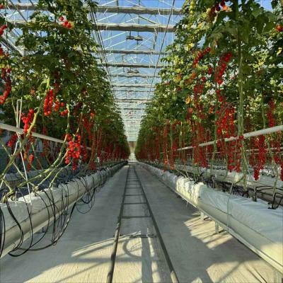 China 6x10 6ft X 4ft Intelligent Commercial Agricultural Glass Greenhouse For Flowers Potatoes Peppers for sale