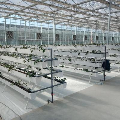 China 9.6m 10.8m 12m span venlo prefab glass greenhouse indoor for vegetable hydroponic for sale