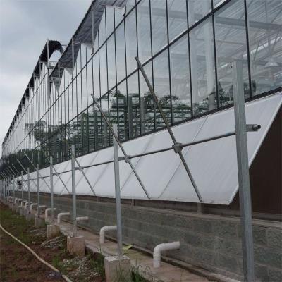 China 3mm 4mm Tomato Venlo Portable Glass Greenhouse Roof And Side Ventilation Control By Motor for sale