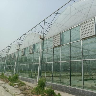 China Modular Agricultural Greenhouse For Sale Dome Roof Cover Film Side Cover Multi Span Cucumber Lettuce Growing for sale