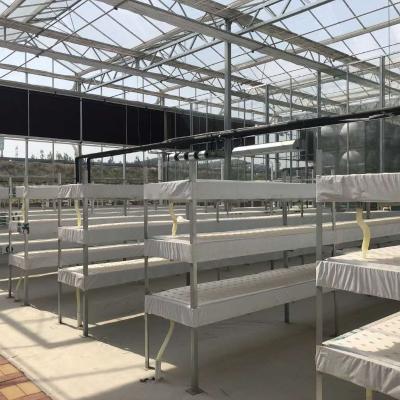 China Water Production Agricultural Greenhouse Manufacturer Growing Hydroponic System Rooling Bench System for sale