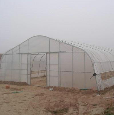 China Hot Sale High Tunnel Plastic Single Span Greenhouse Agriculture For Vegetable Farm for sale