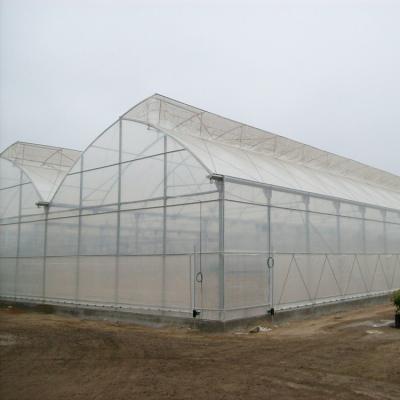 China 150-200micro Plastic Film Greenhouse Four Seasons With Whole System Flowers Vegetables Plants for sale