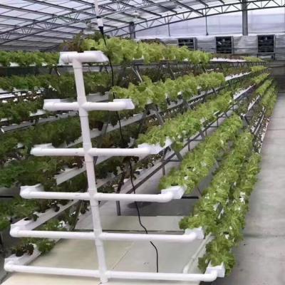 China Vertical Nft Hydroponic Growing Channel Grow System For Lettuce Salad Vegetables for sale